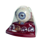Cataract Eye Model